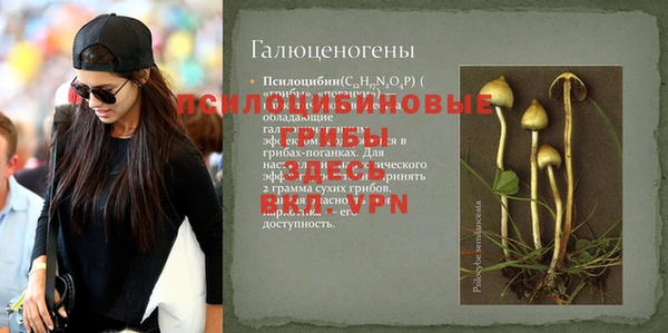 мет Покачи